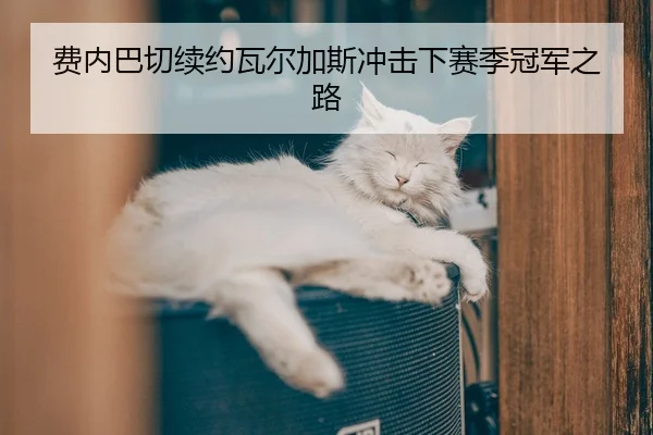 费内巴切续约瓦尔加斯冲击下赛季冠军之路