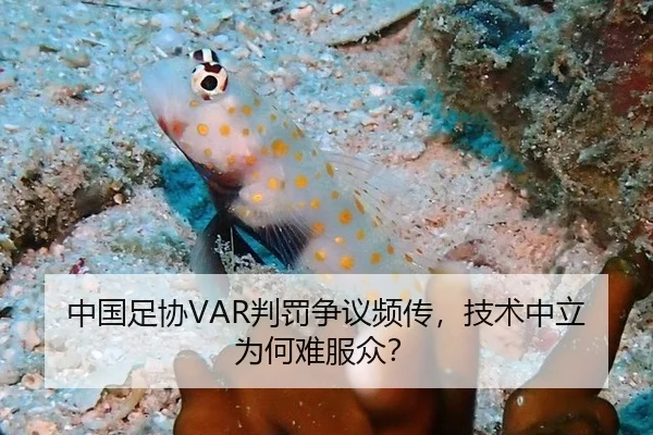 中国足协VAR判罚争议频传，技术中立为何难服众？