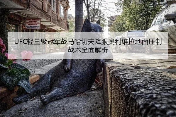 qing-liang-ji-guan-jun-zhan-ma-ha-qie-fu-xiang-fu-ao-li-wei-la-di-mian-ya-zhi-zhan-shu-quan-mian-jie-xi-2-690.jpg
